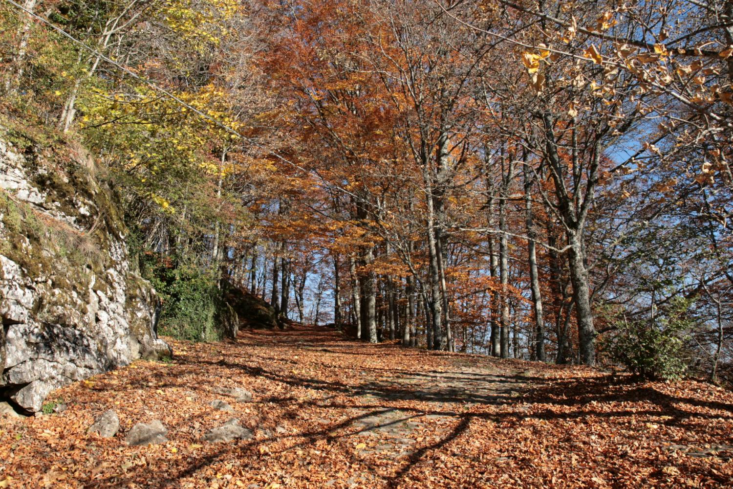 Sul tratto dell'anello alto prossimo al santuario (foto Andrea Ghirardini)