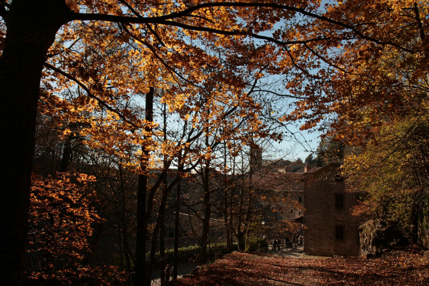 Arrivo al santuario dall'anello alto (foto Andrea Ghirardini)