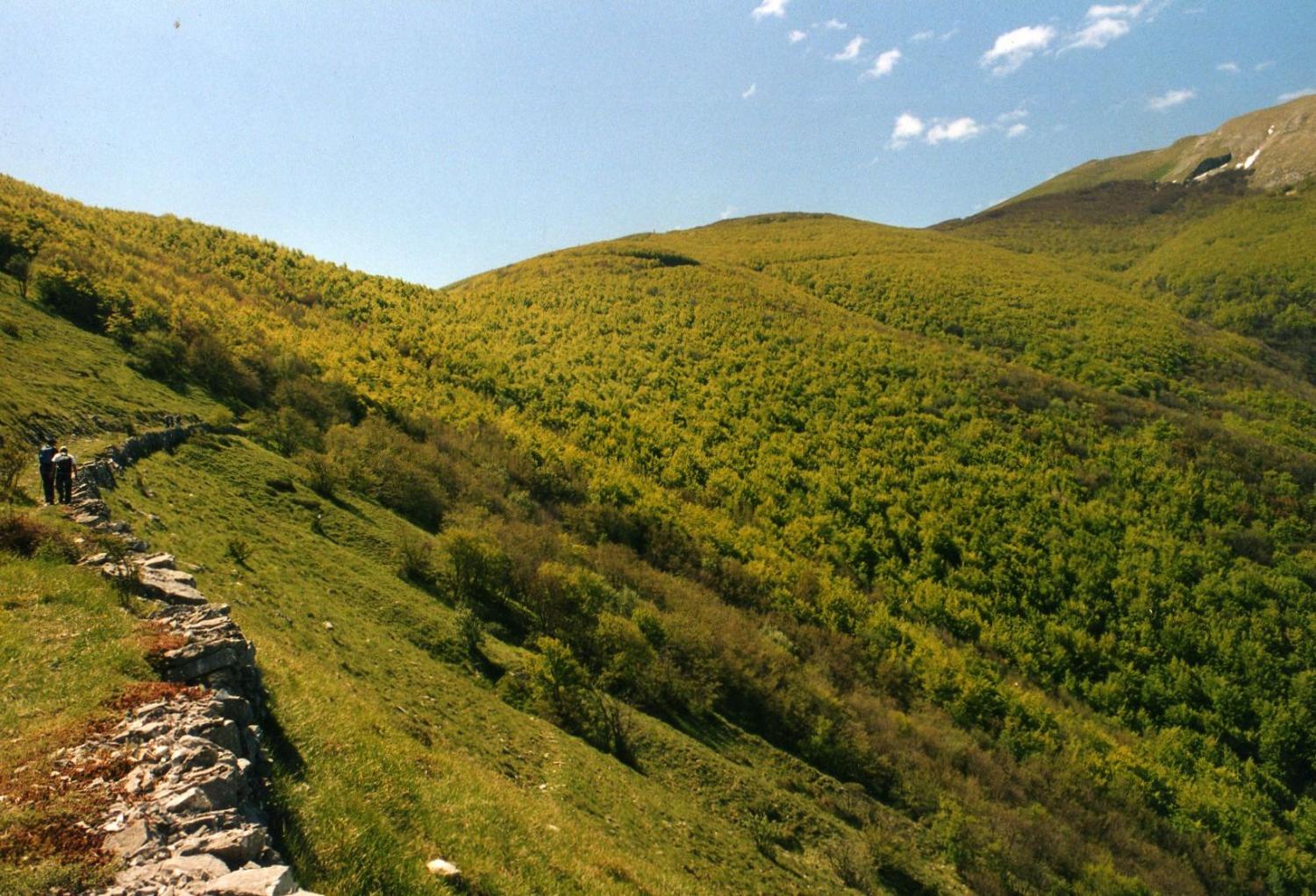 Genga Aguzza (foto Giorgio Roberti)