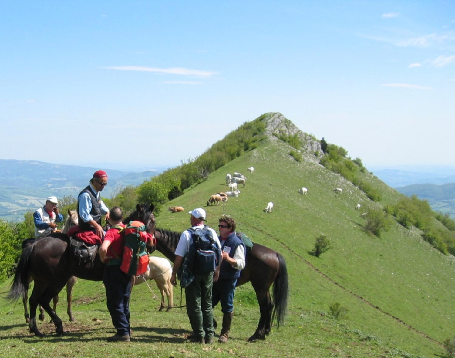 La cresta panoramica dello Schioppettino (foto Antonello Sica)