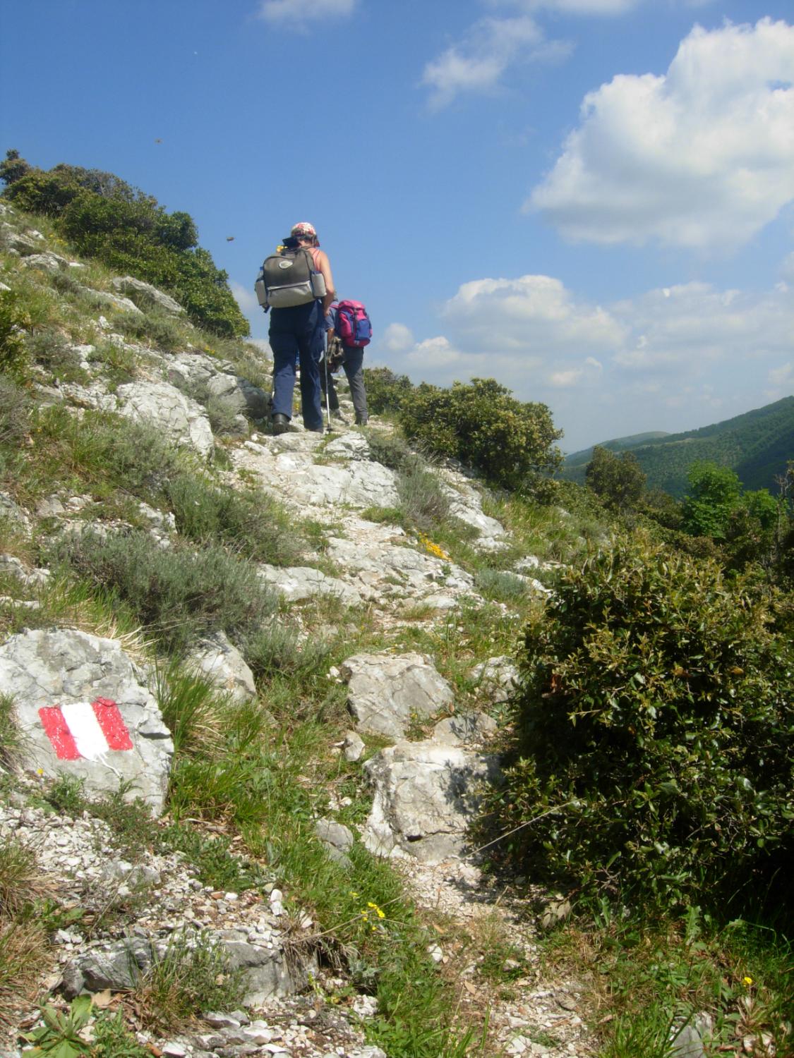 Sui fianchi del Monte Campifobio (foto Antonello Sica)